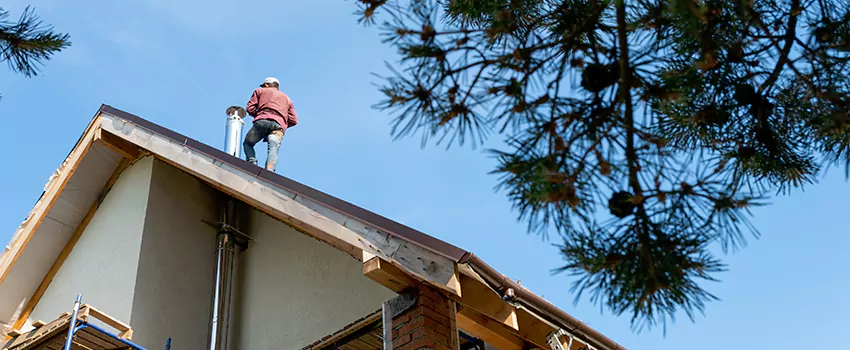 Birds Removal Contractors from Chimney in White Oak, MD